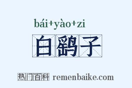 白鹞子是什么意思的图片